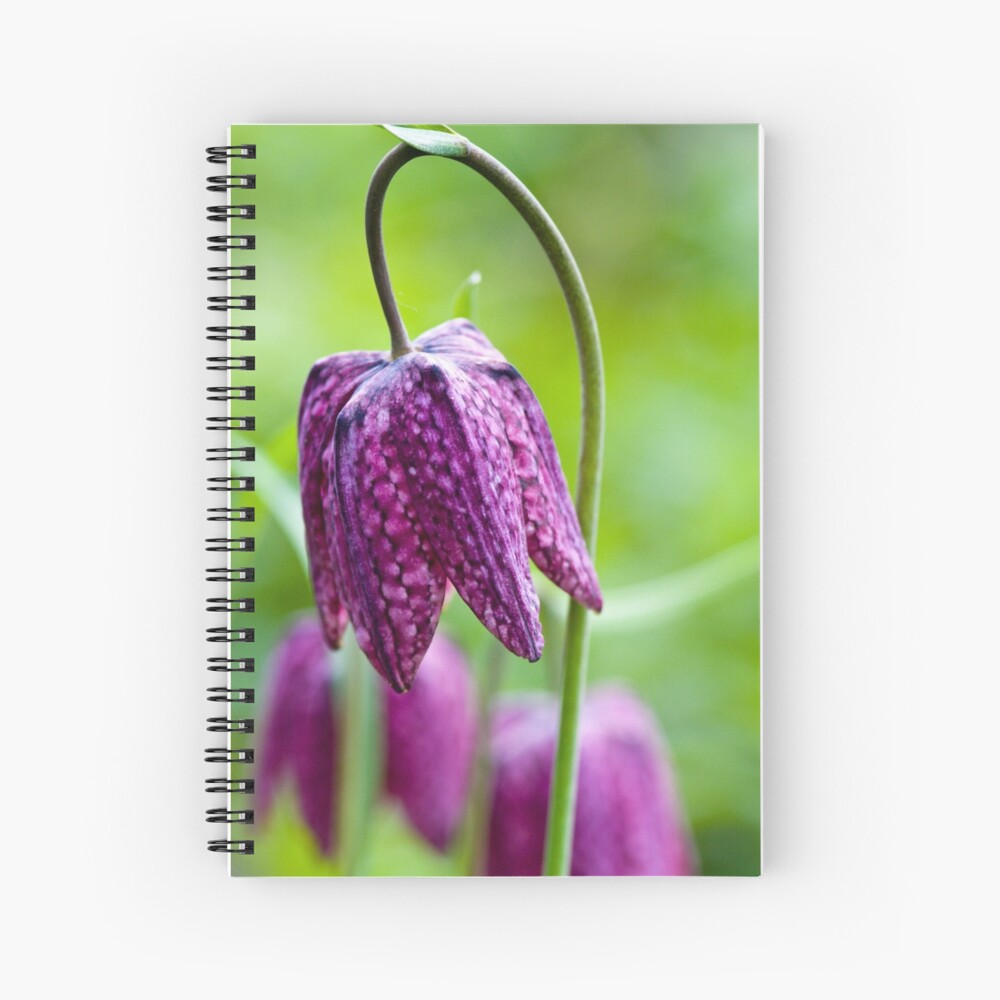 Fritillary (Fritillaria meleagris) Spiral Notebook