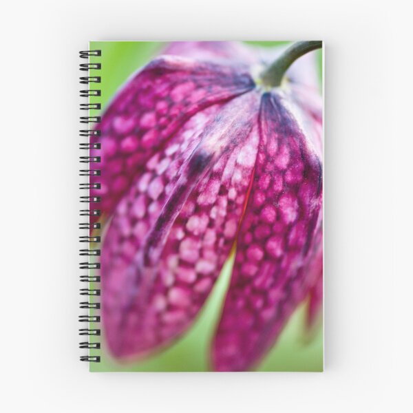 Item preview, Fritillary (Fritillaria meleagris) designed and sold by Steve Chilton.