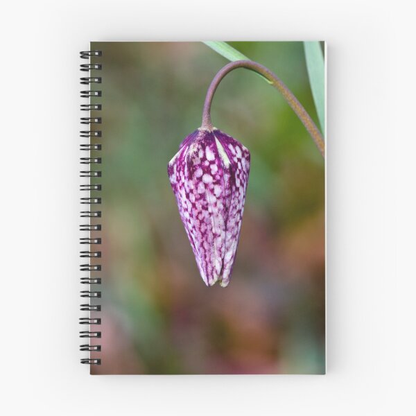Item preview, Fritillary (Fritillaria meleagris) designed and sold by Steve Chilton.