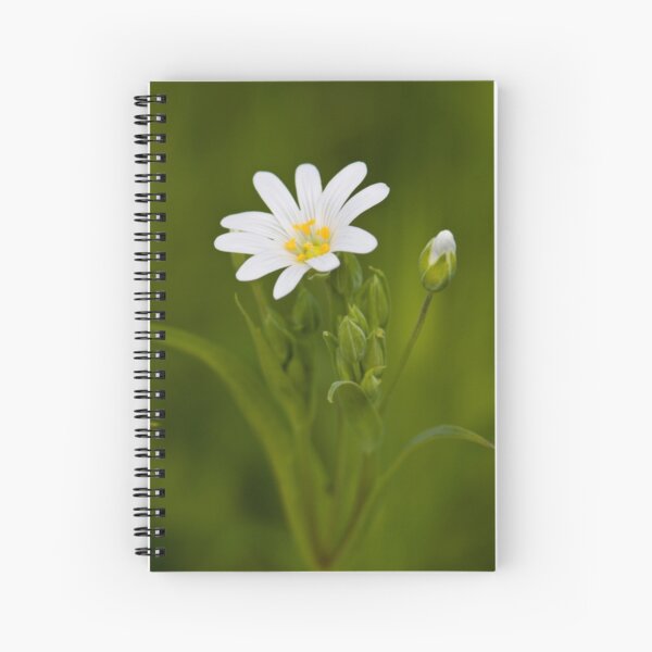 Greater Stitchwort (Stellaria palustris) Spiral Notebook