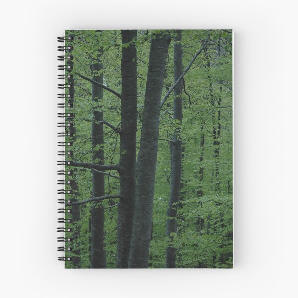Item preview, Light green woods designed and sold by Diego Marando.