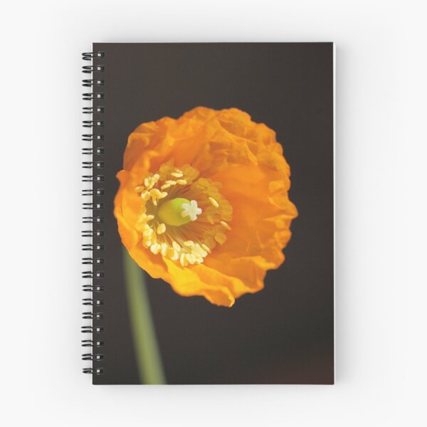 Item preview, Just popping in designed and sold by Michael Oubridge.
