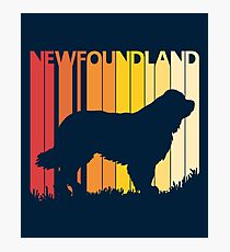 Vintage Retro Newfoundland Christmas Gift Photographic Print