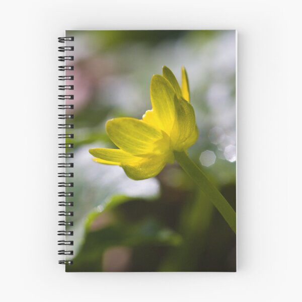 Item preview, Lesser Celandine (Ranunculus ficaria) designed and sold by Steve Chilton.
