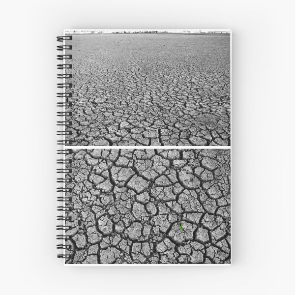 Item preview, Dangars Lagoon, Uralla, New South Wales, Australia - Diptych designed and sold by Kitsmumma.