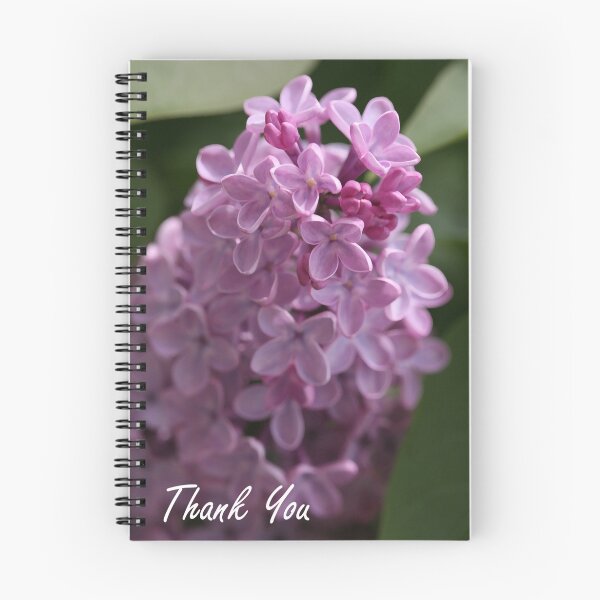 Item preview, Card: Thank You 172 - nancypics designed and sold by Nancy Lovering.