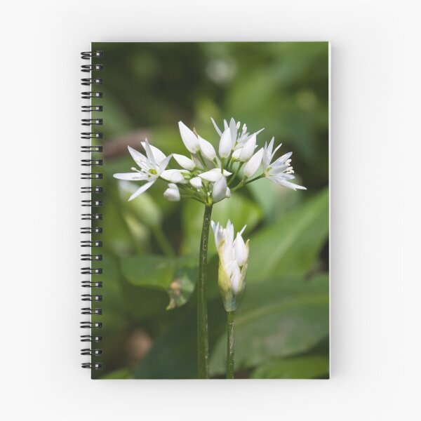 Item preview, Ramson (Alium Ursinum) designed and sold by Steve Chilton.