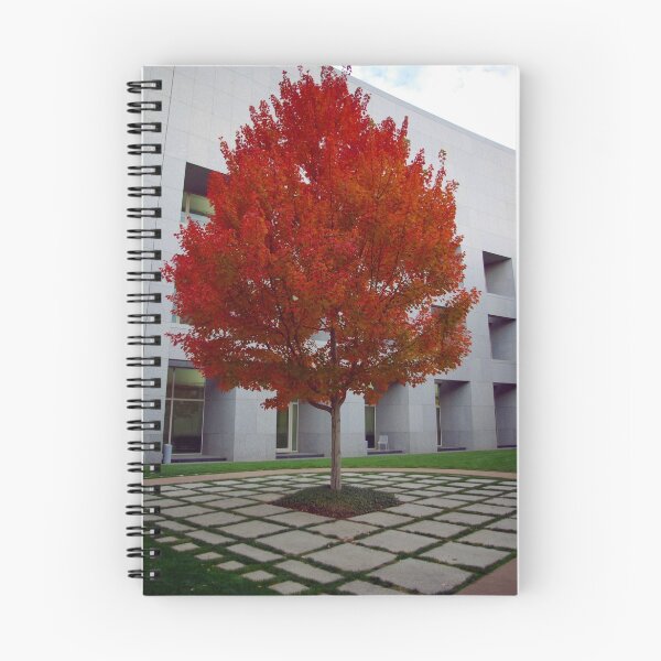 Item preview, Parliament House, Canberra, Australia designed and sold by Darius4522.