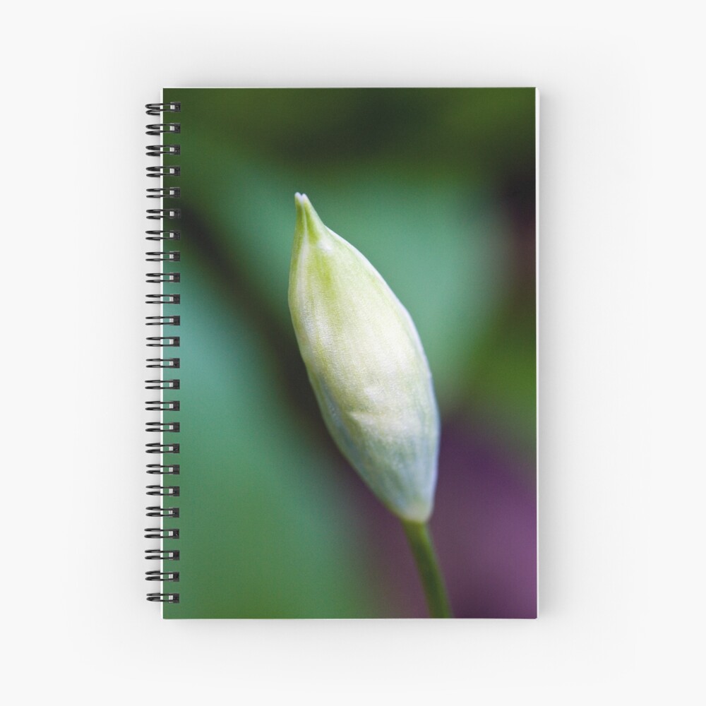 Ramson Bud (Allium ursinum) Spiral Notebook
