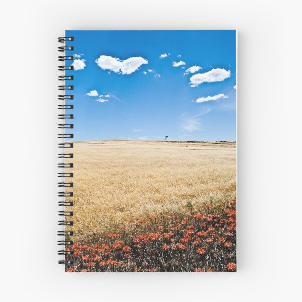 Aperçu de l'œuvre Colourful field créée et vendue par thorpee.