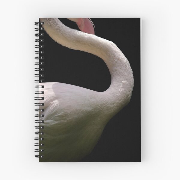 Item preview, Graceful designed and sold by Tamara Kenneally.