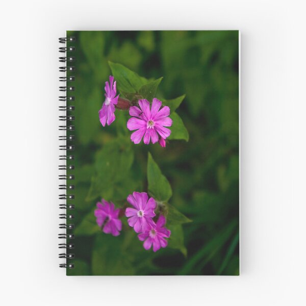 Item preview, Wild Flowers - Red Campion designed and sold by Trevor Kersley.