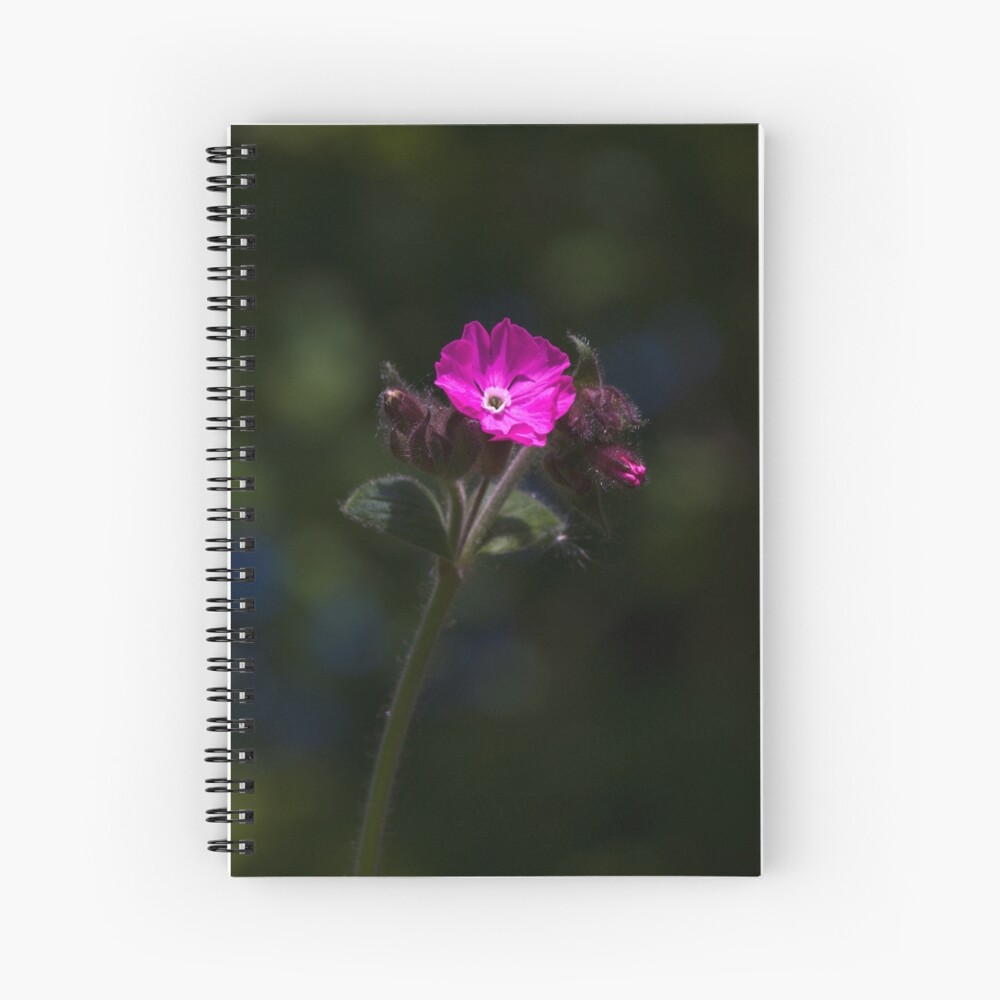 Red Campion (Silene dioica) Spiral Notebook