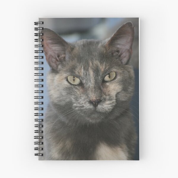 Item preview, Kitty Kat designed and sold by Susanne Correa.