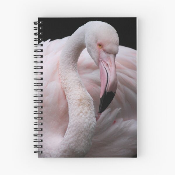 Item preview, Greater Flamingo designed and sold by Natalie Manuel.