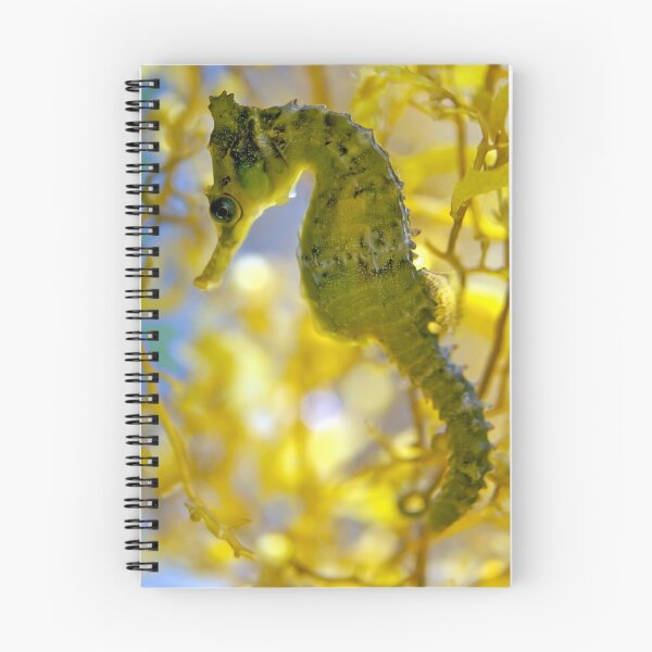 Item preview, Seahorse designed and sold by Melissa Chinn.