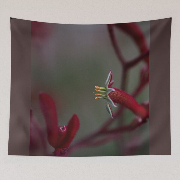 Item preview, Shooting Star - Kangaroo Paw          designed and sold by imaginethis.