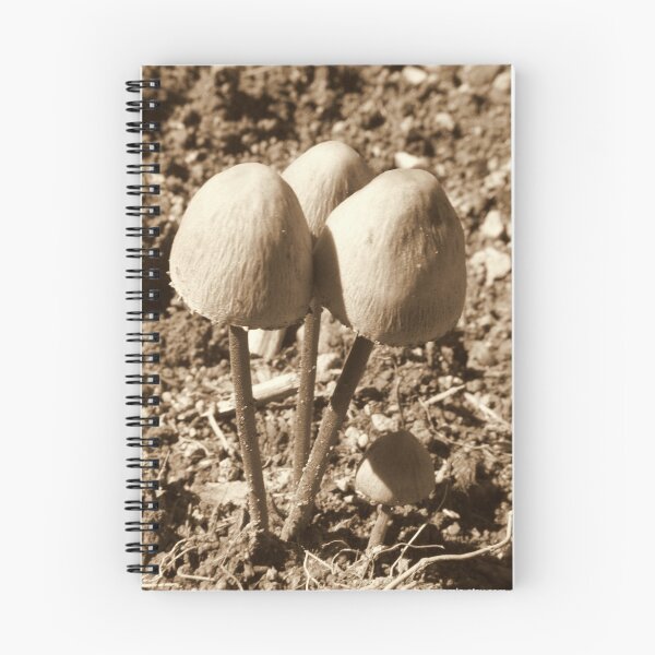 Item preview, Toadstools designed and sold by AbsintheFairy.
