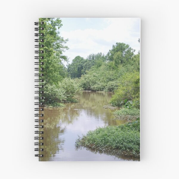 Item preview, Louisiana Bayou designed and sold by Marlo510.