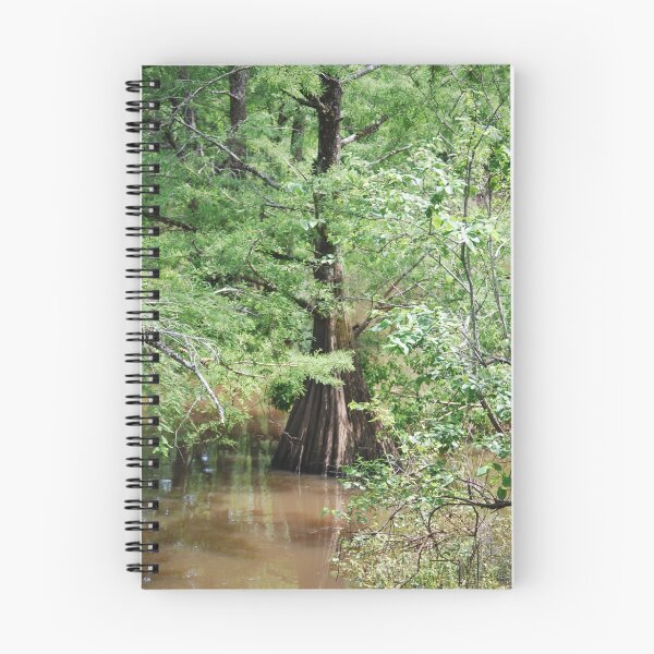 Item preview, Louisiana Cypress designed and sold by Marlo510.
