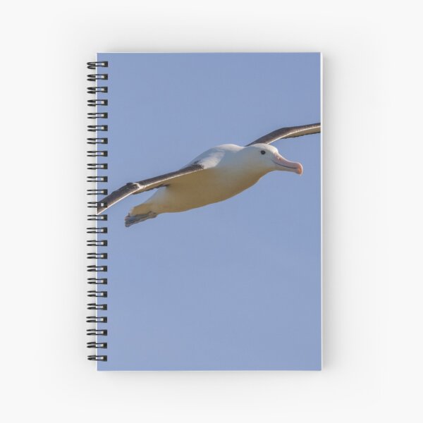 Royal Albatross Spiral Notebook