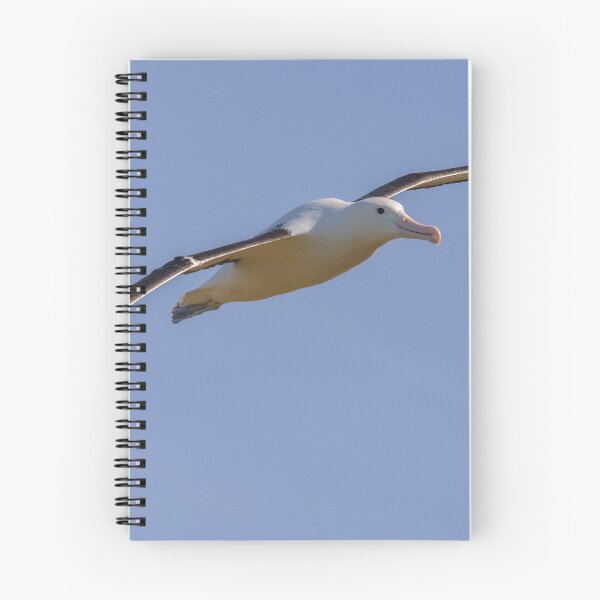 Item preview, Royal Albatross designed and sold by Werner Padarin.