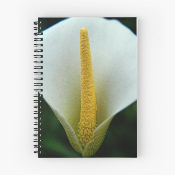 Item preview, Stamen designed and sold by Photography & Emotive Ai.