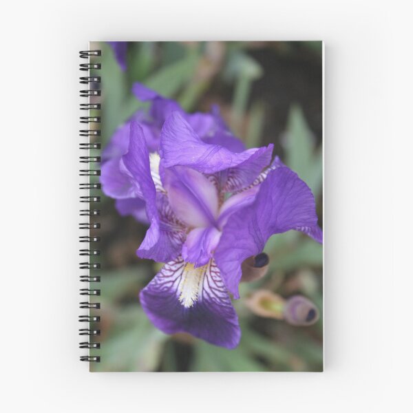 Item preview, Purple Light designed and sold by CloudedYellow.