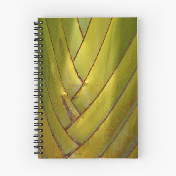 Aperçu de l'œuvre Woven Palm Bark créée et vendue par Rosalie Scanlon.