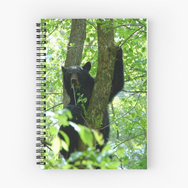 Item preview, black bear attitude designed and sold by dc witmer.
