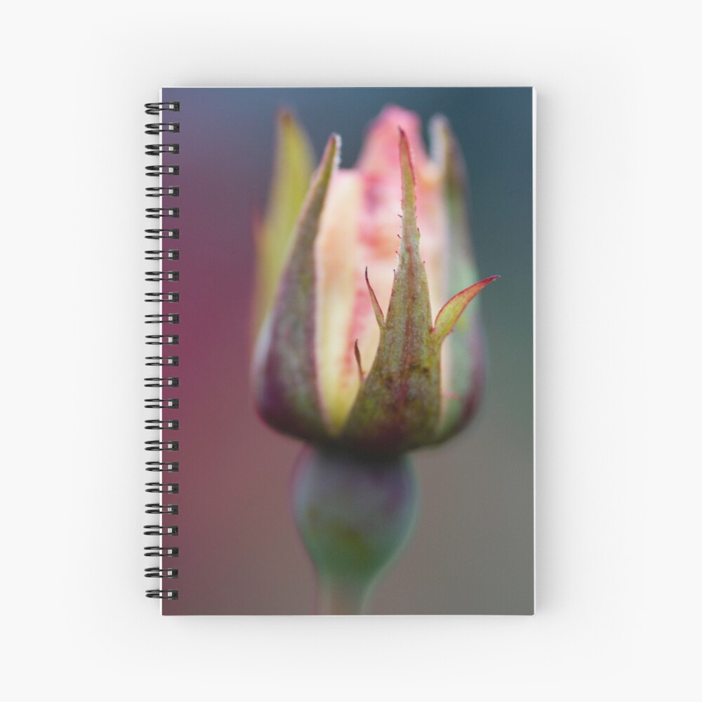 Rosebud Spiral Notebook