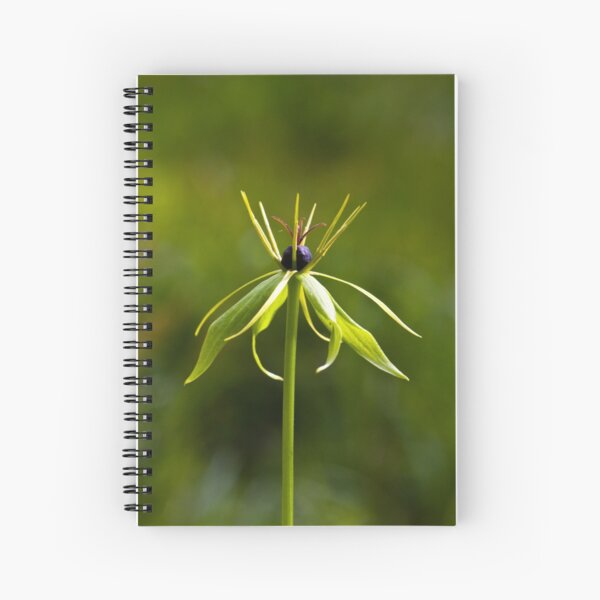 Herb Paris (Paris quadrifolia) Spiral Notebook