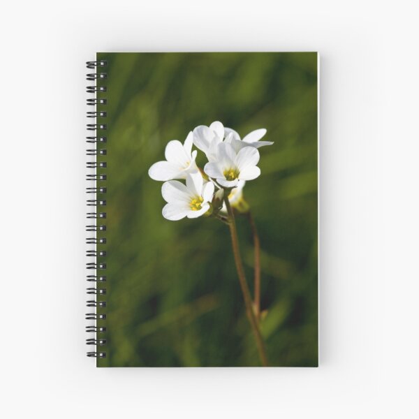 Meadow Saxifrage (Saxifraga granulata) Spiral Notebook