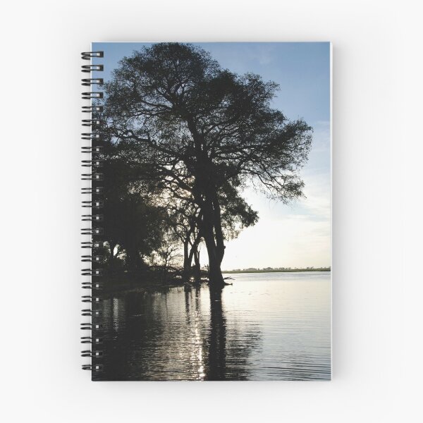 Item preview, Dusk, Chobe National Park, Botswana, Africa designed and sold by Adrian Paul.