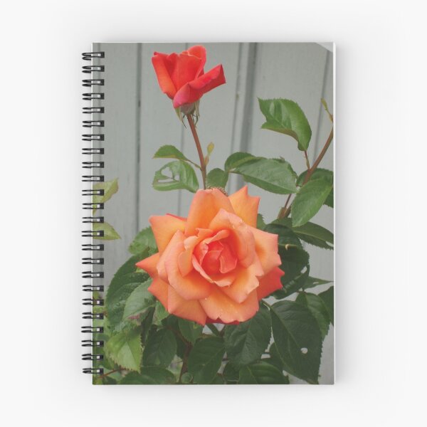 Item preview, Red/orange rose designed and sold by Tove.