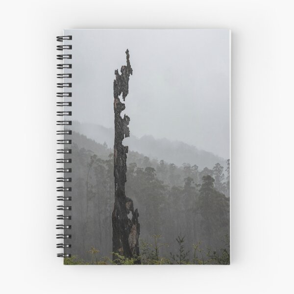 Item preview, Bushfire Ravaged Tree in the Yarra Ranges designed and sold by LukeDavidPhoto.