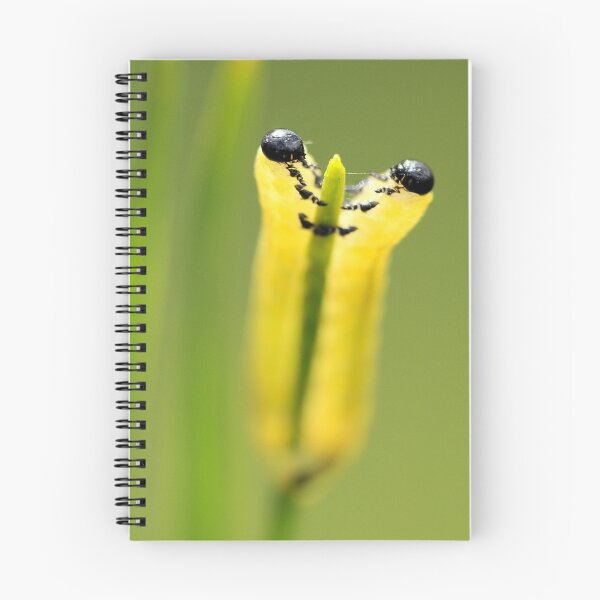 Item preview, European Pine Sawfly Larvae designed and sold by PamelaJoPhoto.
