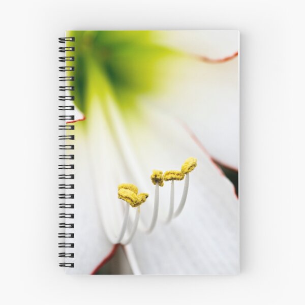 Item preview, Hippeastrum 'Picotee' (Amaryllis) Flower Closeup designed and sold by Alison Cornford-Matheson.