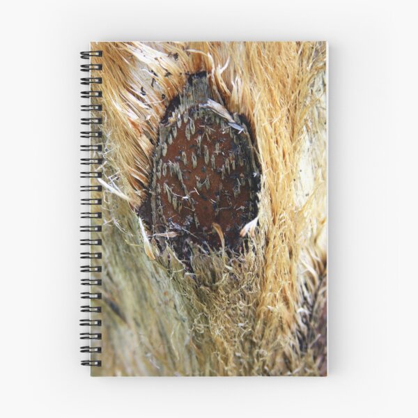 Item preview, Hairy something designed and sold by Haydee  Yordan.
