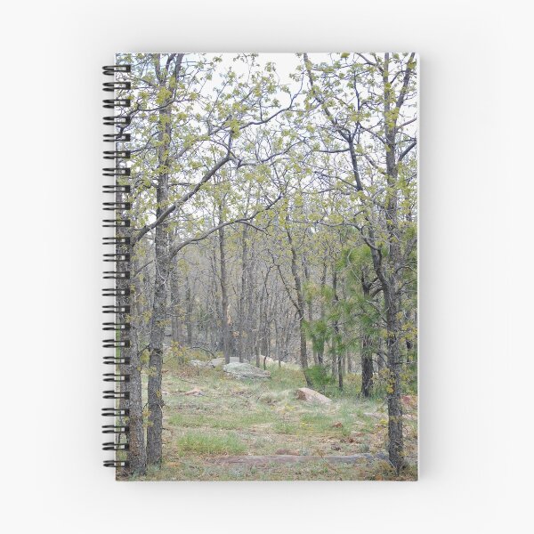 Item preview, Pathway designed and sold by Stormygirl.