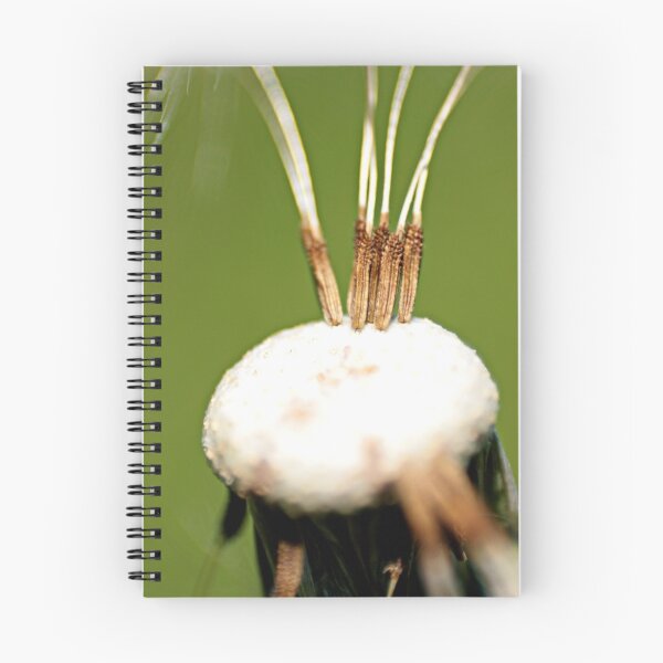 Item preview, Holding On Tight designed and sold by Lita Medinger.
