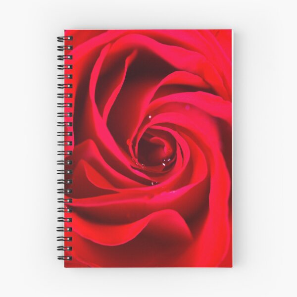 Aperçu de l'œuvre Rose rouge créée et vendue par Dennis Warne.