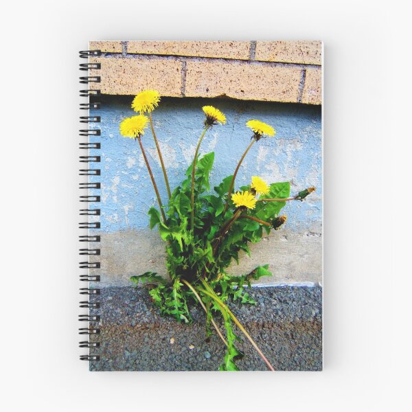 Aperçu de l'œuvre Flower or weed? créée et vendue par Stephanie  Williams.