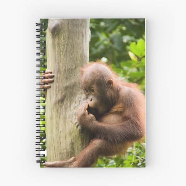 Item preview, Baby Orangutan designed and sold by Adrianne Yzerman.