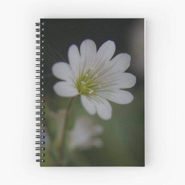 Item preview, White (from willd flowers collection) designed and sold by Antanas.