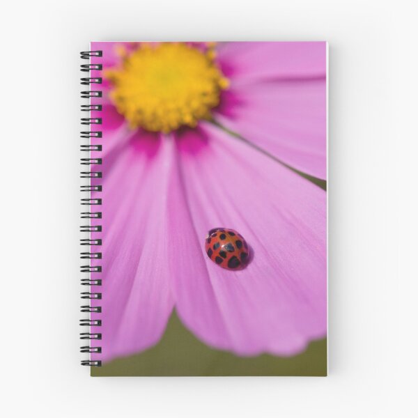 Item preview, Ladybird on a Comos petal! designed and sold by Carole Stevens.