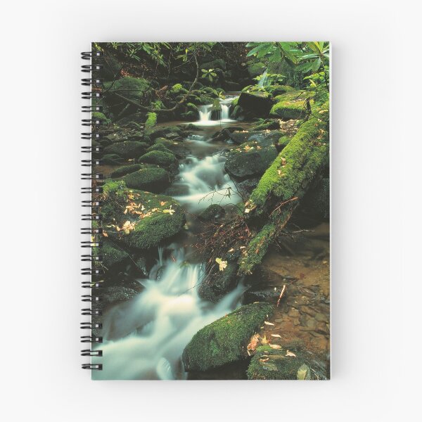 Item preview, ROARING FORK designed and sold by Chuck Wickham.