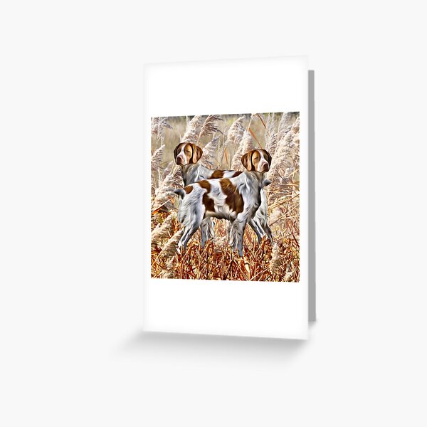 Two Brittany Spaniels Greeting Card
