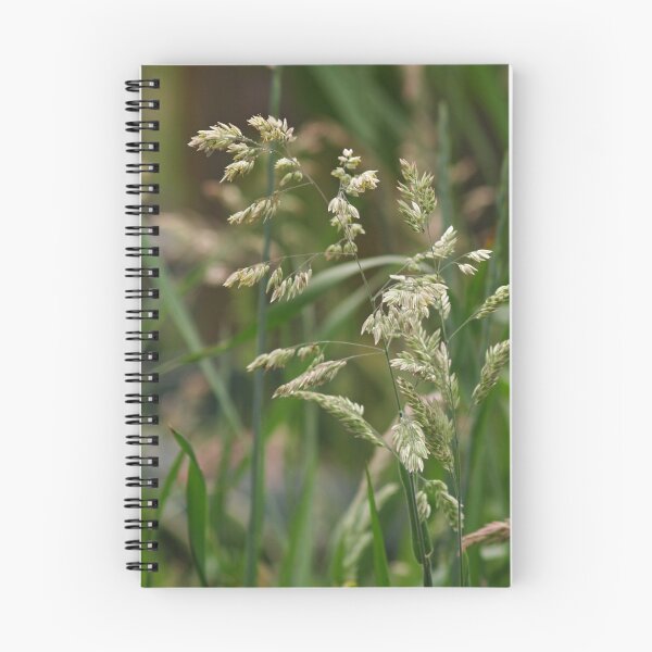 Item preview, Fescue designed and sold by WatscapePhoto.
