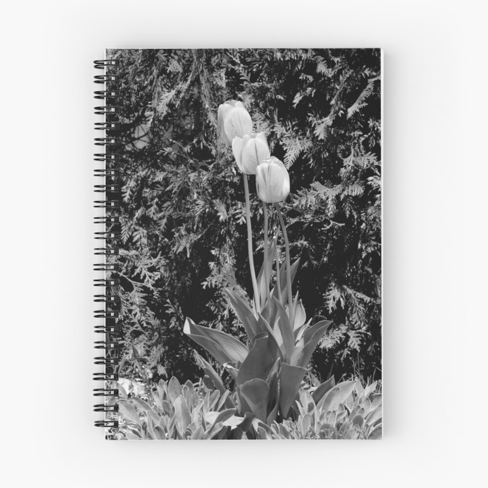 Item preview, Spiral Notebook designed and sold by TSielaff.